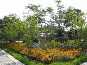 廣州園林綠化與景觀(guān)設(shè)計(jì) 專(zhuān)業(yè)服務(wù)全解析